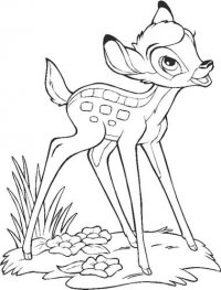 Bambi (C)