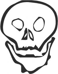 Skull (AT)