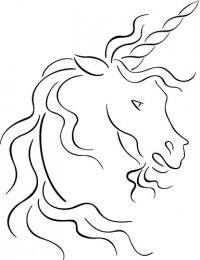 Unicorn Head