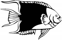 Anglefish