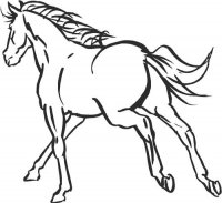 Horse (AA)