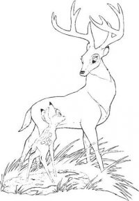 Bambi and Great Prince of the Forest