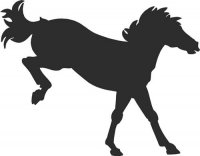 Horse (AE)