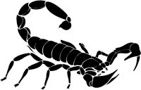 Scorpion (B)