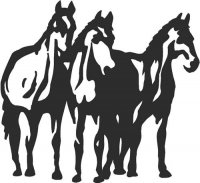 Group of Horses